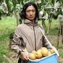 コロコロ梨工房