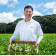 マルエス菜園