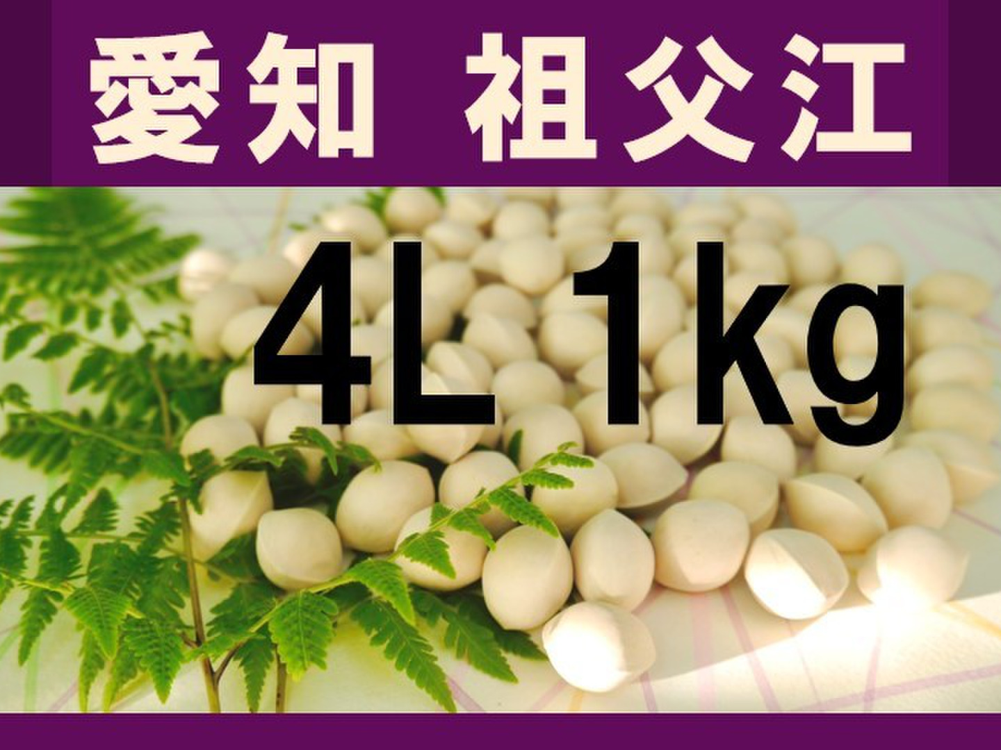 2022年新物　生産者直送 久寿 ぎんなん 祖父江産 銀杏 3L 3kg