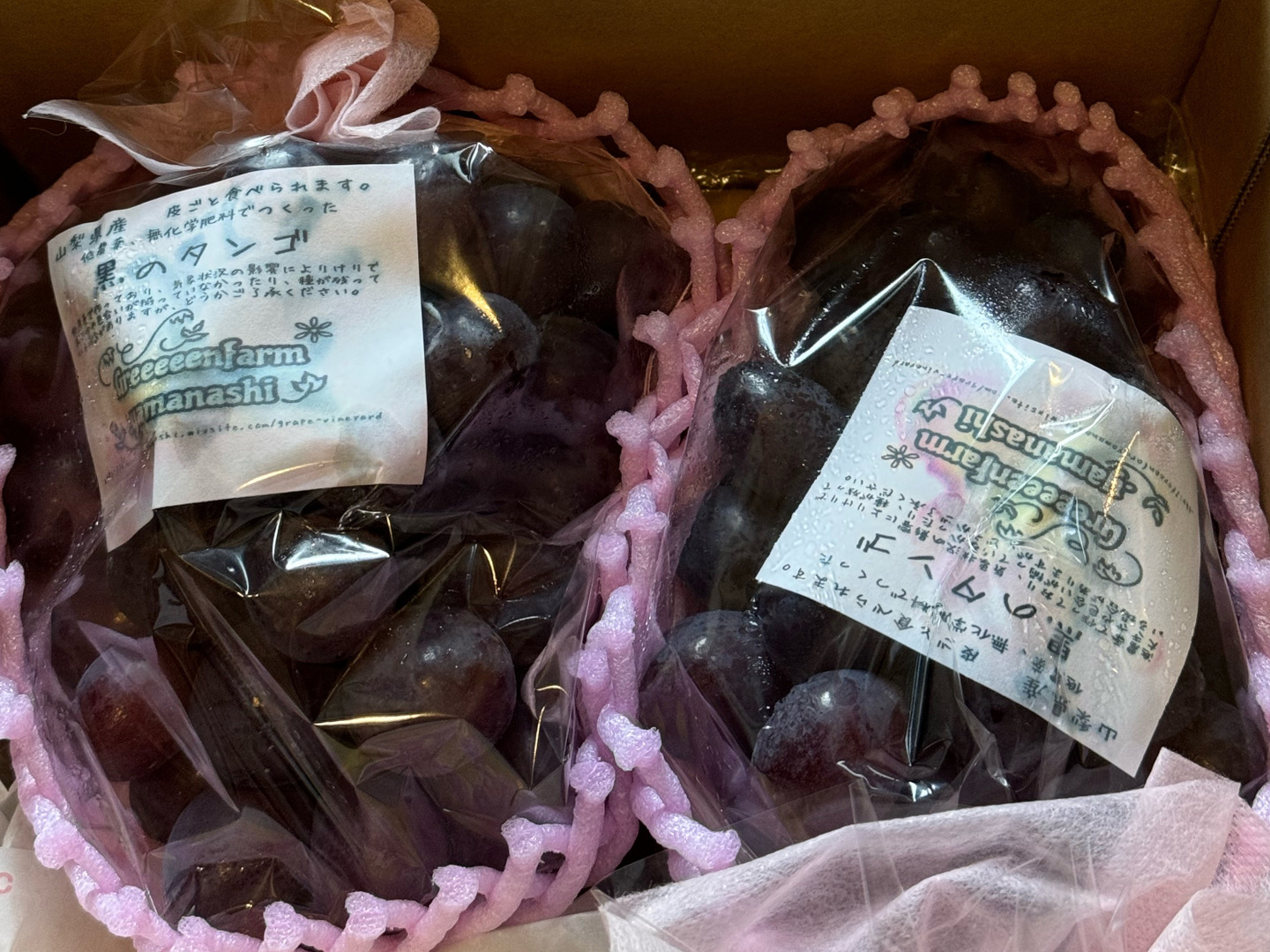 葡萄 黒いタンゴ 皮ごと食べれます 角田様専用 【公式通販
