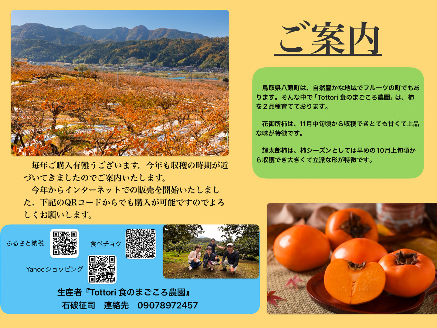 2025予約販売】鳥取県八頭町産 輝太郎(きたろう)柿:鳥取県産 2025予約販売】鳥取県八頭町産 輝太郎(きたろう)柿:鳥取県産