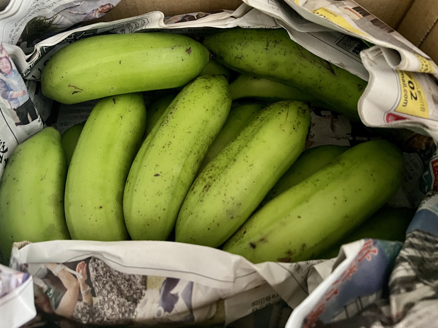 期間限定】 島バナナ 1.5kg：沖縄県産の島バナナ｜食べチョク｜産地