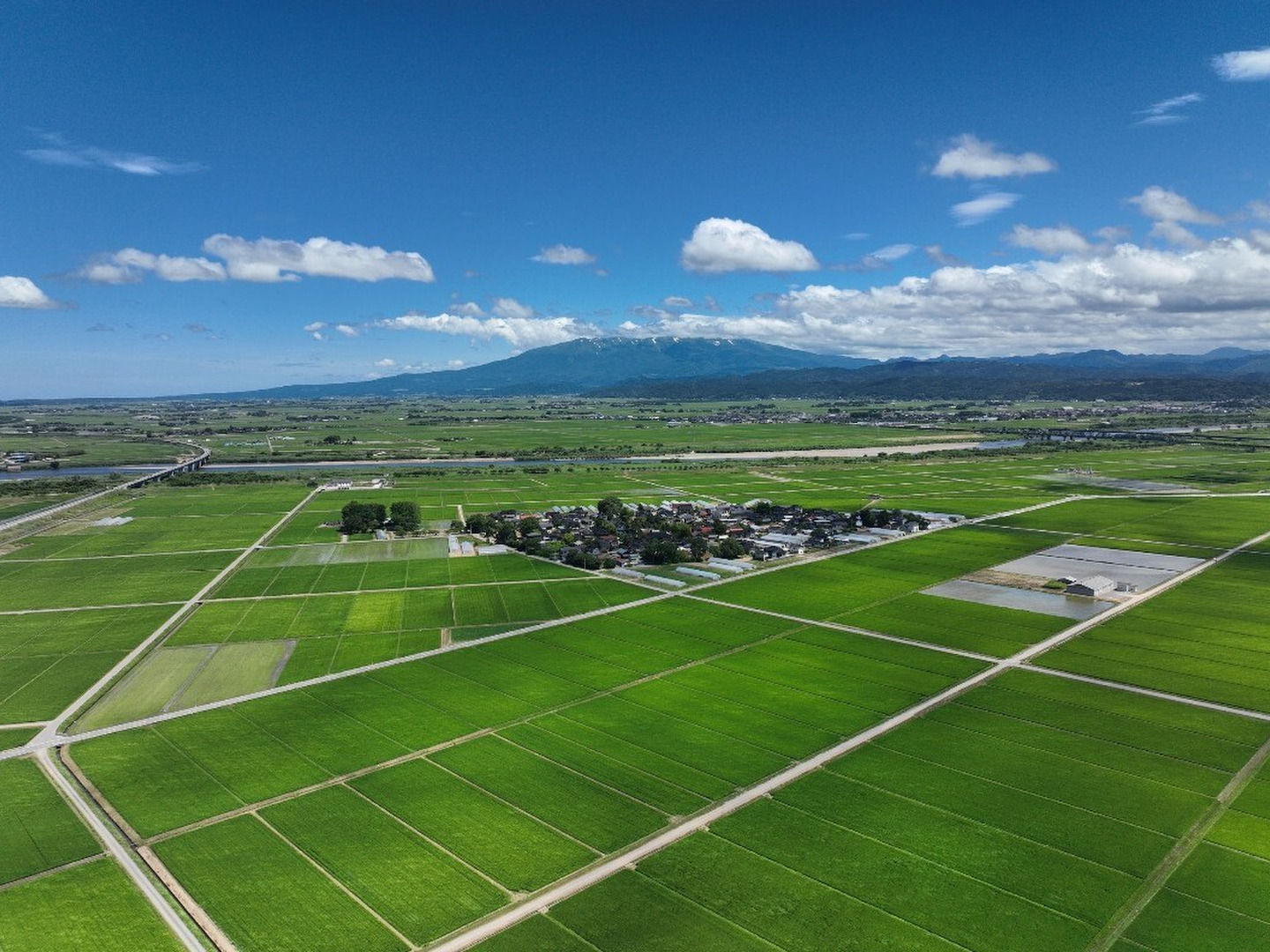 令和7年産予約 自然栽培米 ササニシキ 庄内米 10kg(5kg✖️2袋)：山形