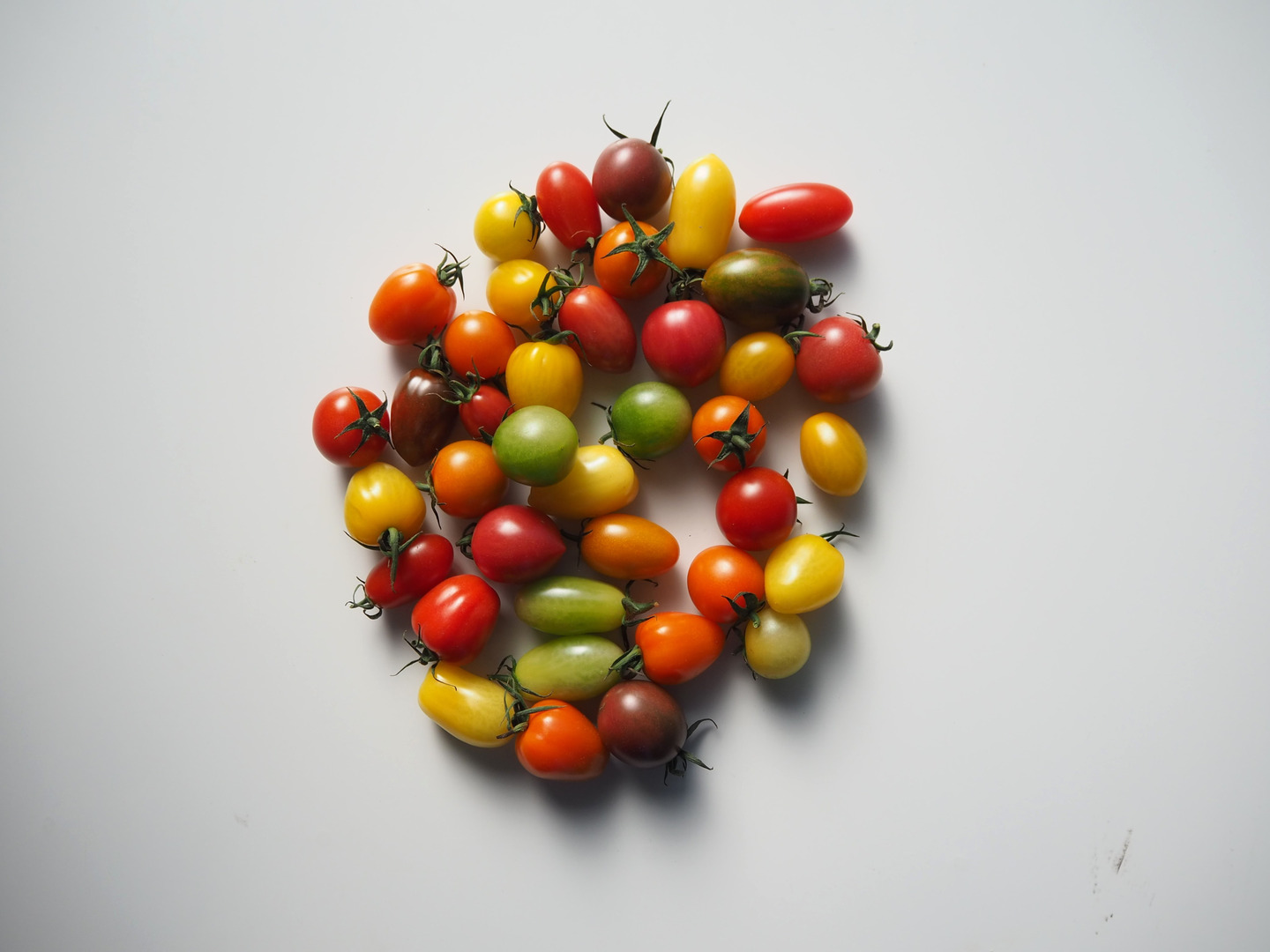 とまと購入ページ 楽天市場】CC（トマト｜野菜・きのこ）：食品の通販