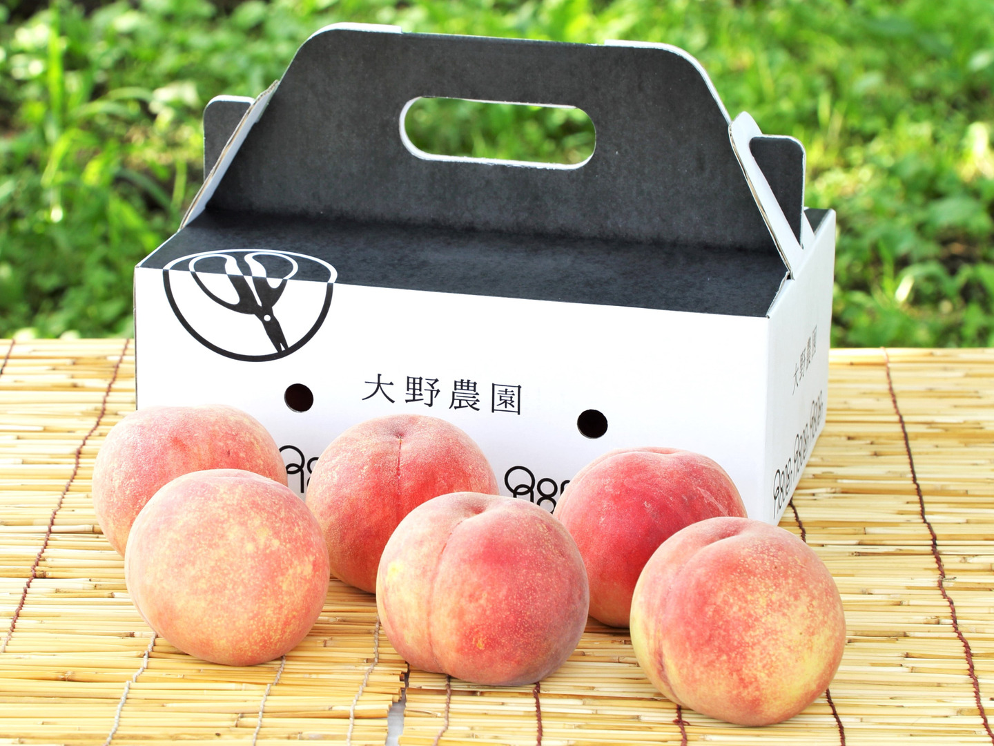 CocoRo♡farm ワッサーのような硬い桃（美郷）12kg peach_cut.jpg?crop=center&