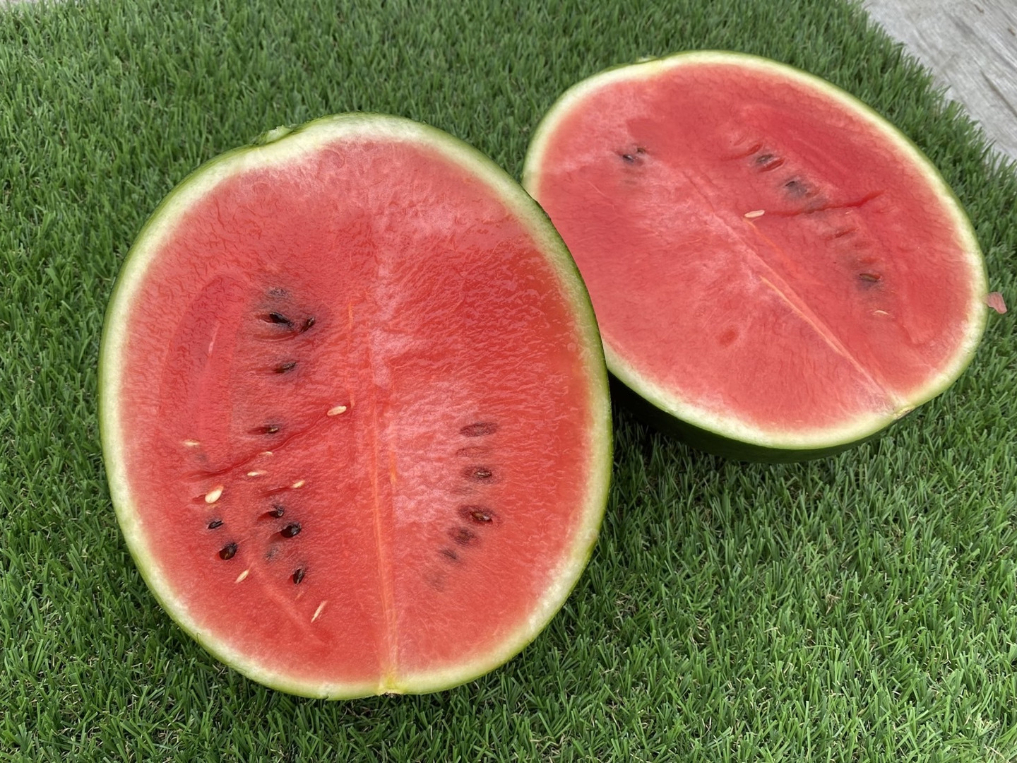 甘さ抜群！シャリシャリ小玉すいか🍉2玉（3.6～4.6kg）本州の