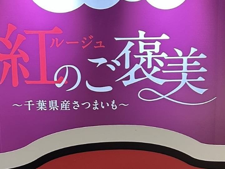 UK〇プロフ必読〇 茨城産すずほっくり1箱20ｋ 楽天市場】さつまいも すずほっくり 約5kg ( 2L〜Mサイズ )《EM