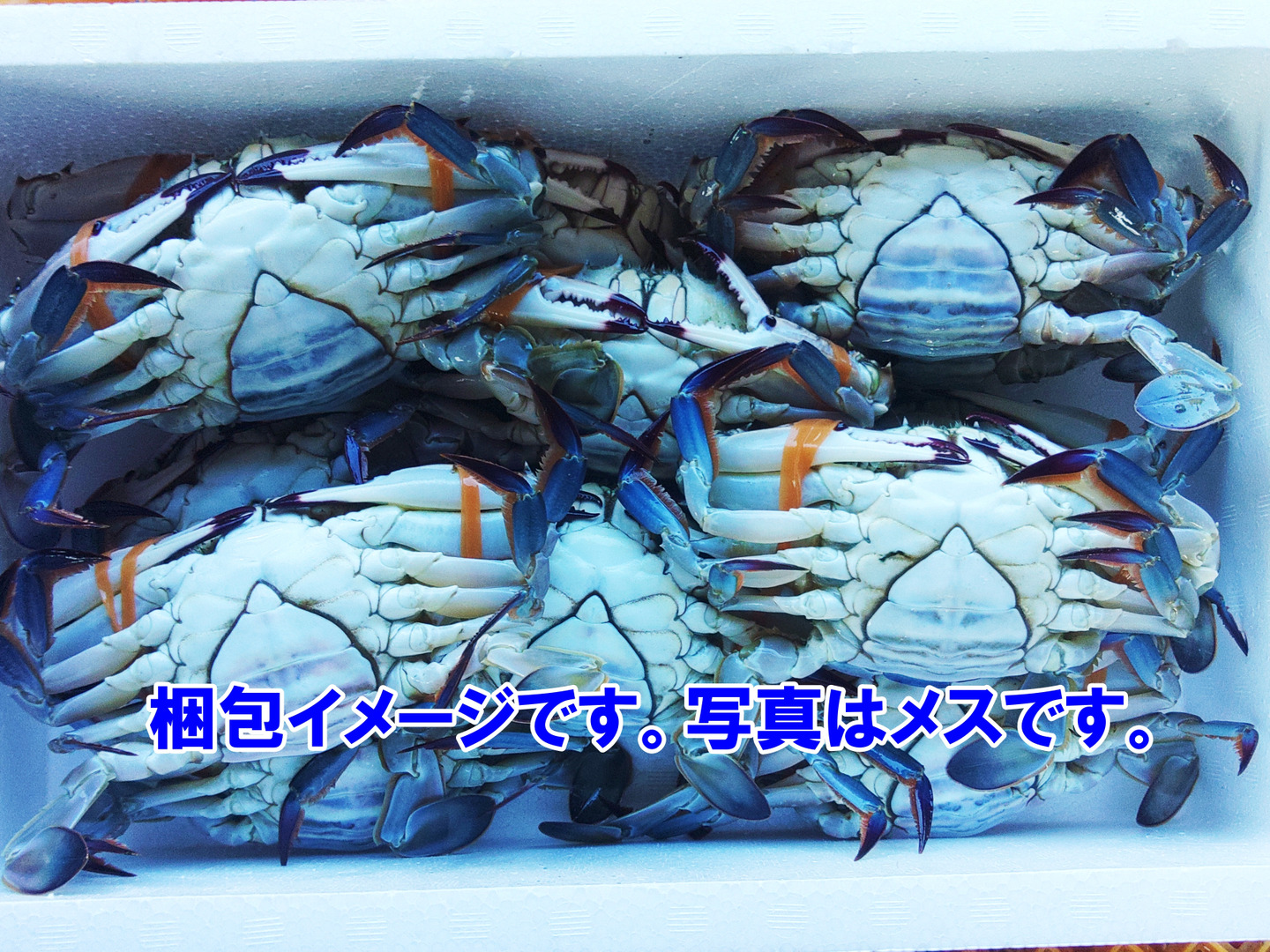 冷凍ガザミ オス中サイズ 8kg（約36杯）「2kg×4箱で8kg