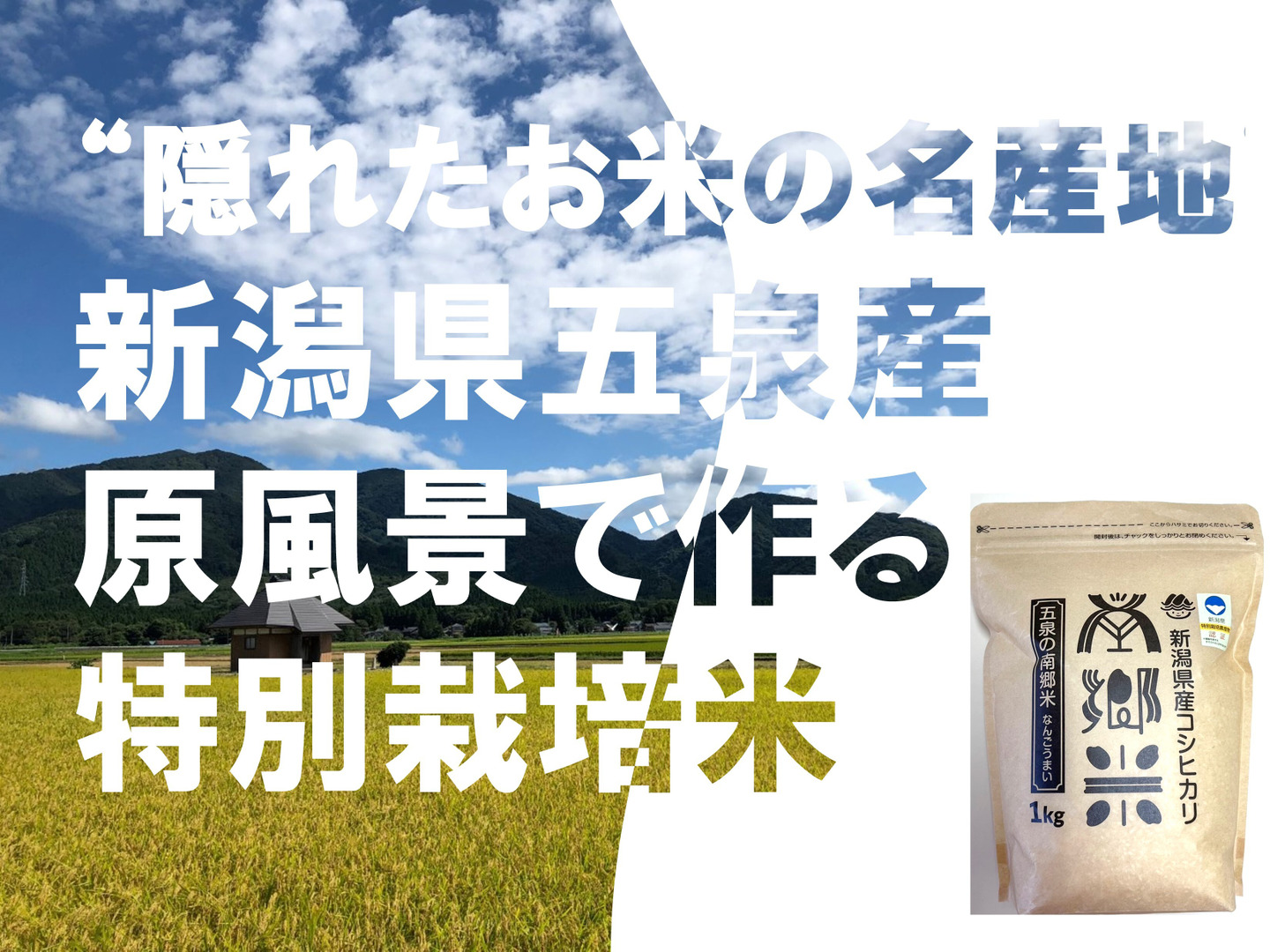 08dd172ed124d4a7f78fe97aa30c8d