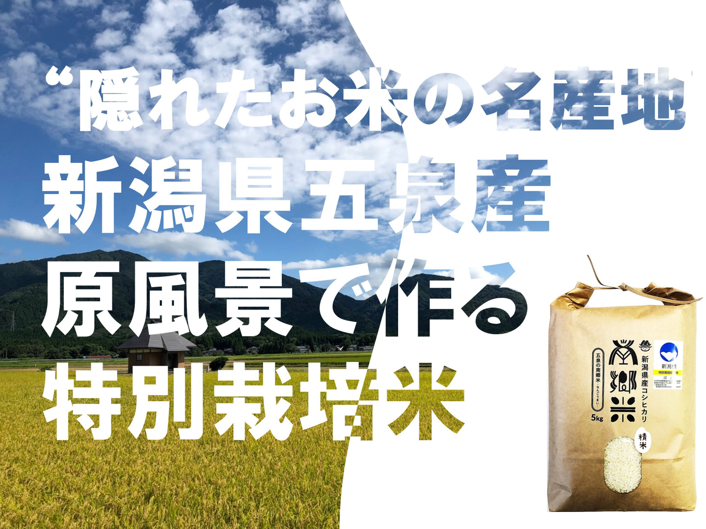 令和7年 新米】 特別栽培米''隠れたお米の名産地''新潟県五泉産