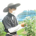 WING FARM - ウィングファーム