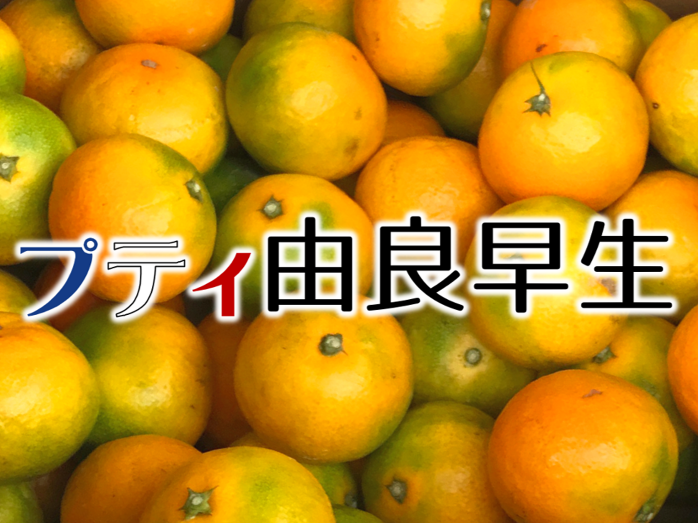 かねつみかん☆プロフ見て下さい(*^_^様 リクエスト 3点 まとめ商品 懐】「つぶ」‼︎ つぶつぶミカン‼︎ 懐かしの美味さ。あま〜い