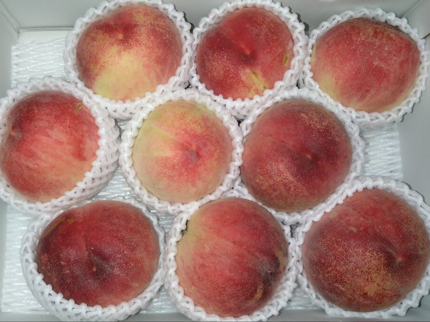 桃名人厳選 桃【ご家庭用 訳あり商品】白桃約3kg(8-12玉）：福島県産