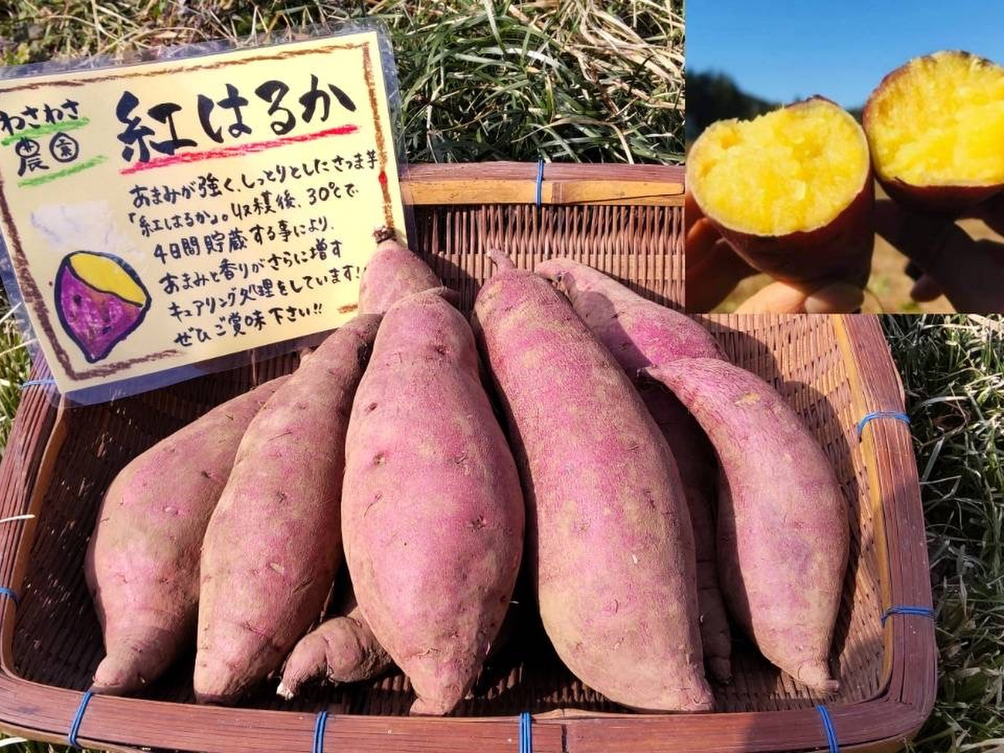 Amazon | 紅はるか 5kg 土付き 生芋 (M～2Lサイズ混合) 鹿児島県