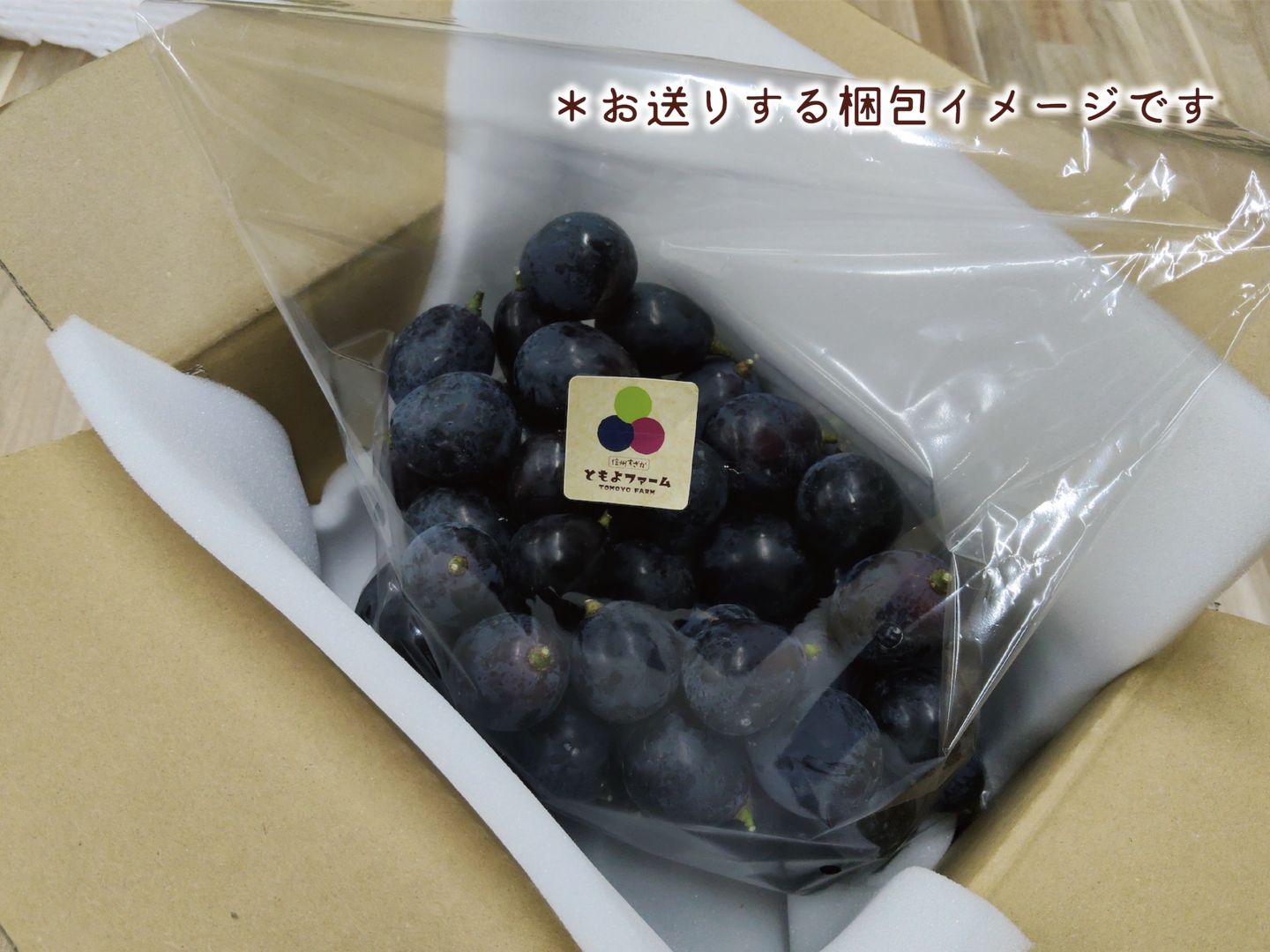 クール便］ナガノパープル・粒｜1．5kg：長野県産のナガノパープル