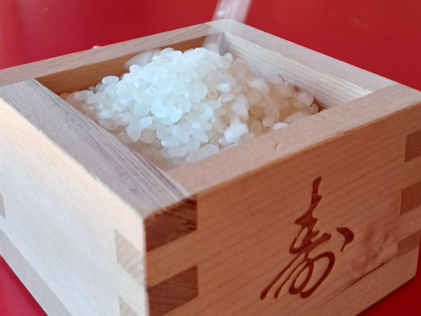激安店舗 冷たく透き通った水で育った「郡上のコシヒカリ」(玄米10kg 米・雑穀・粉類