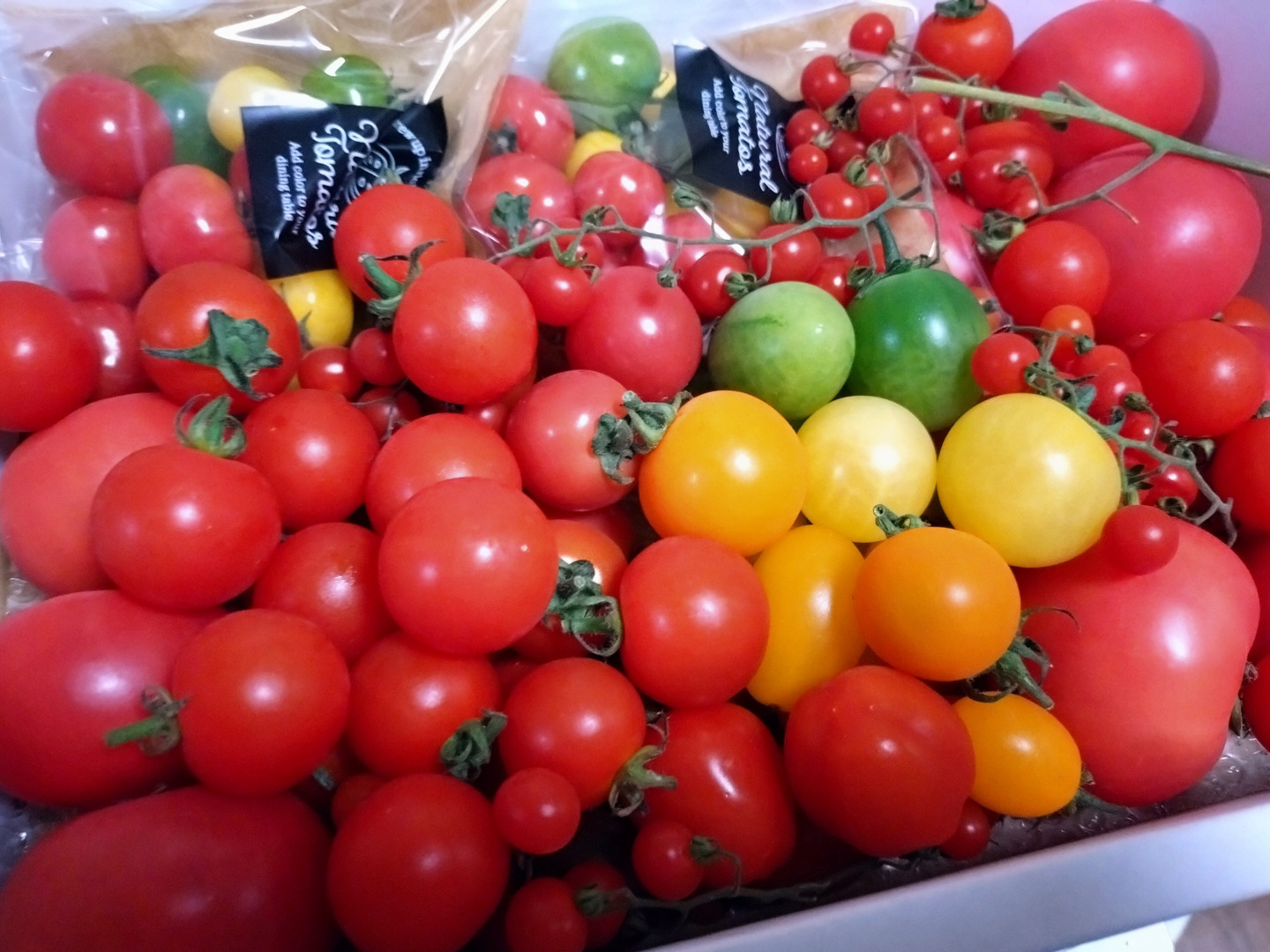 保障できる 冬ギフト】【大満足セット】トマト、ミニトマト、カラフルトマト 野菜