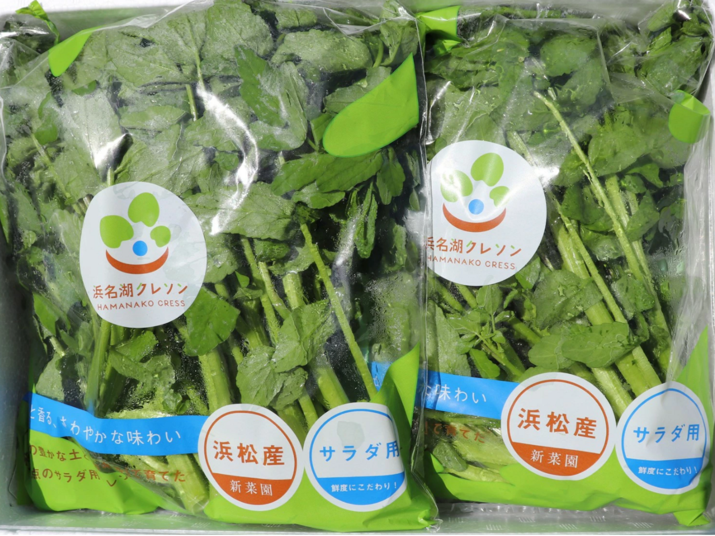 無農薬・湧き水育ちのクレソン｜自然栽培・清流で育った山の野菜