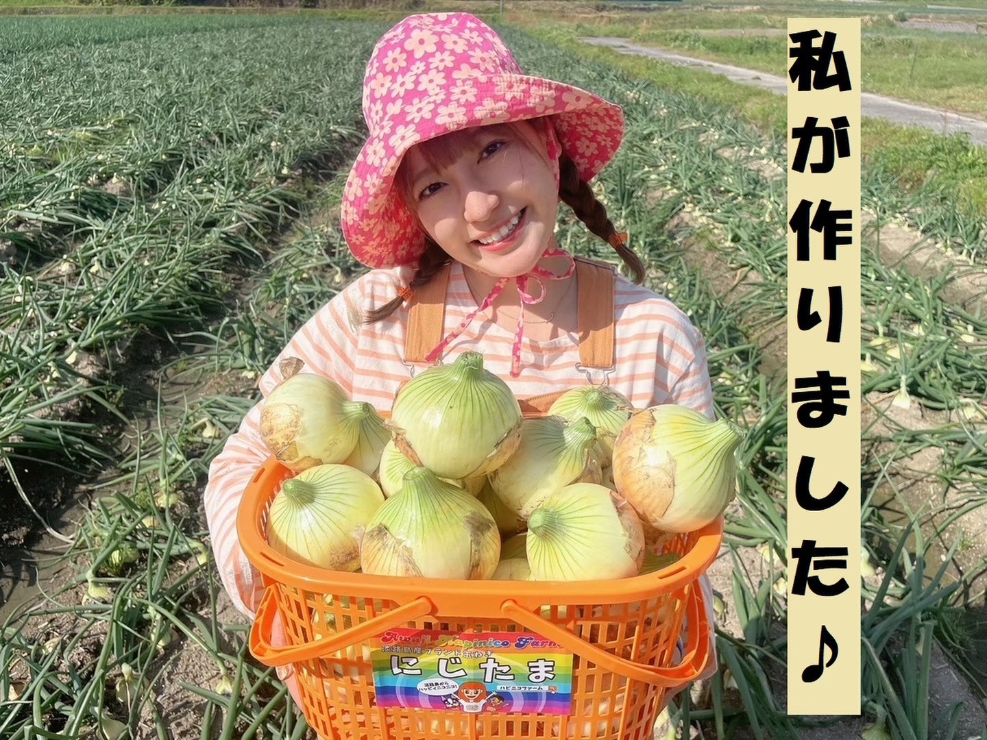 熱い販売 9d23eab9f0fd0b346cb17a0979d681 野菜