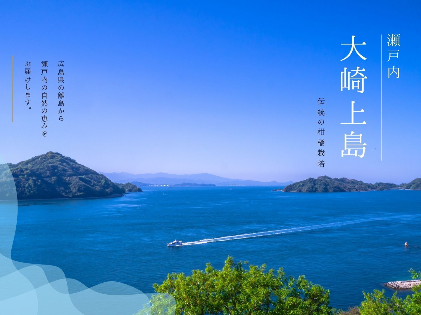 瀬戸内大崎上島産：極早生みかん 5kg：広島県産のみかん・柑橘類｜食べ