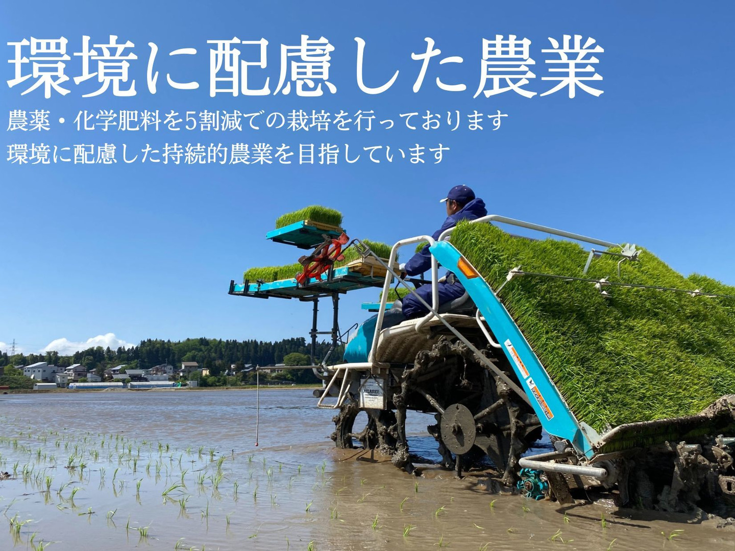米10キロ 10kg～ – 俵屋 兵米衛
