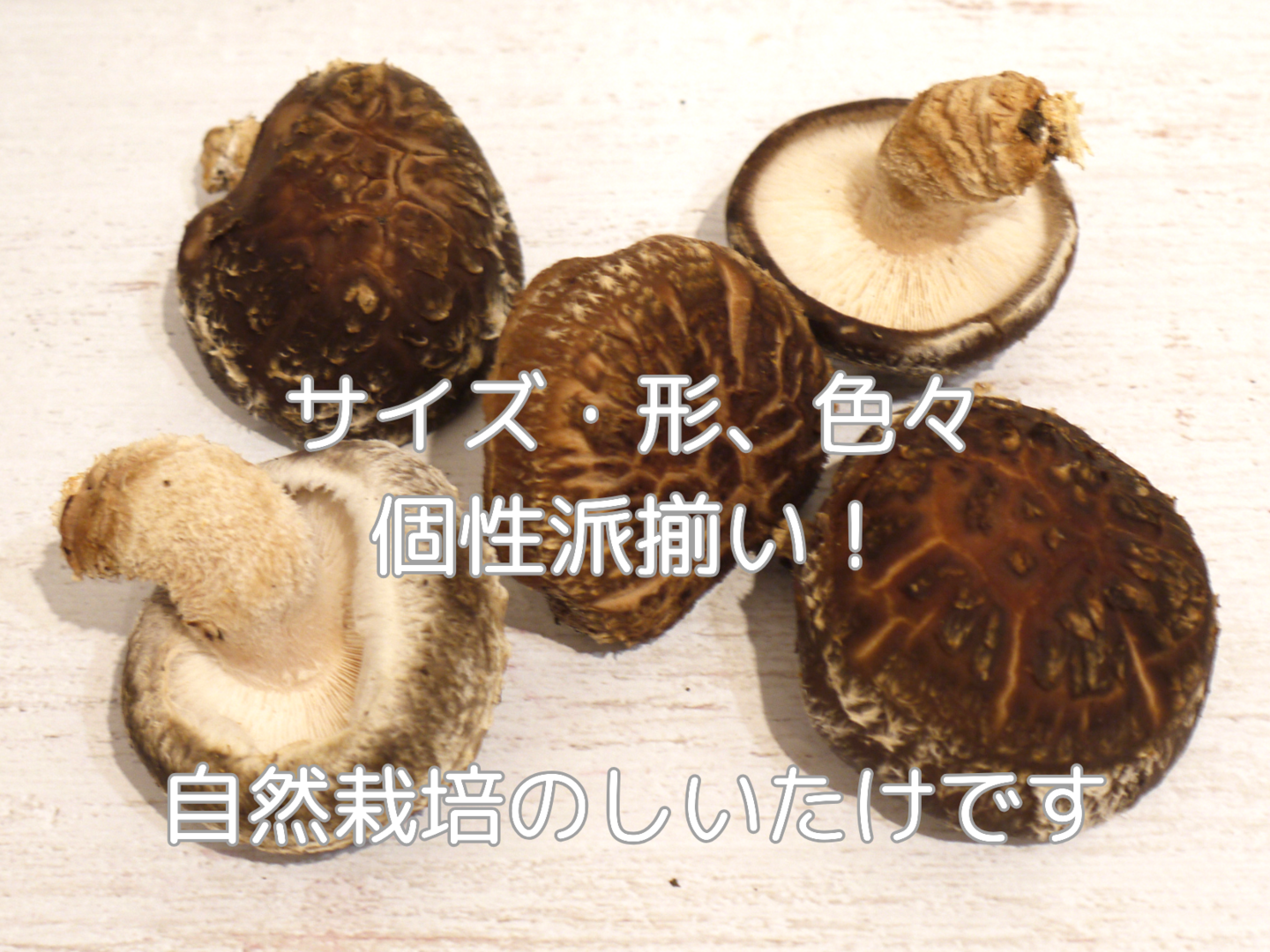 原木栽培 生しいたけ 約3kg 原木椎茸：大分県産のシイタケ｜食べ