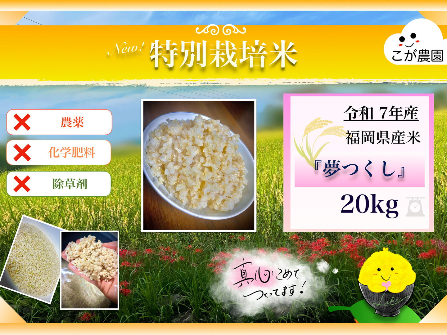 【やんゆき】特別栽培米 福岡県産米『夢つくし』玄米　20kg やんゆき様 専用】特別栽培米 福岡県産米『夢つくし』玄米 20kg