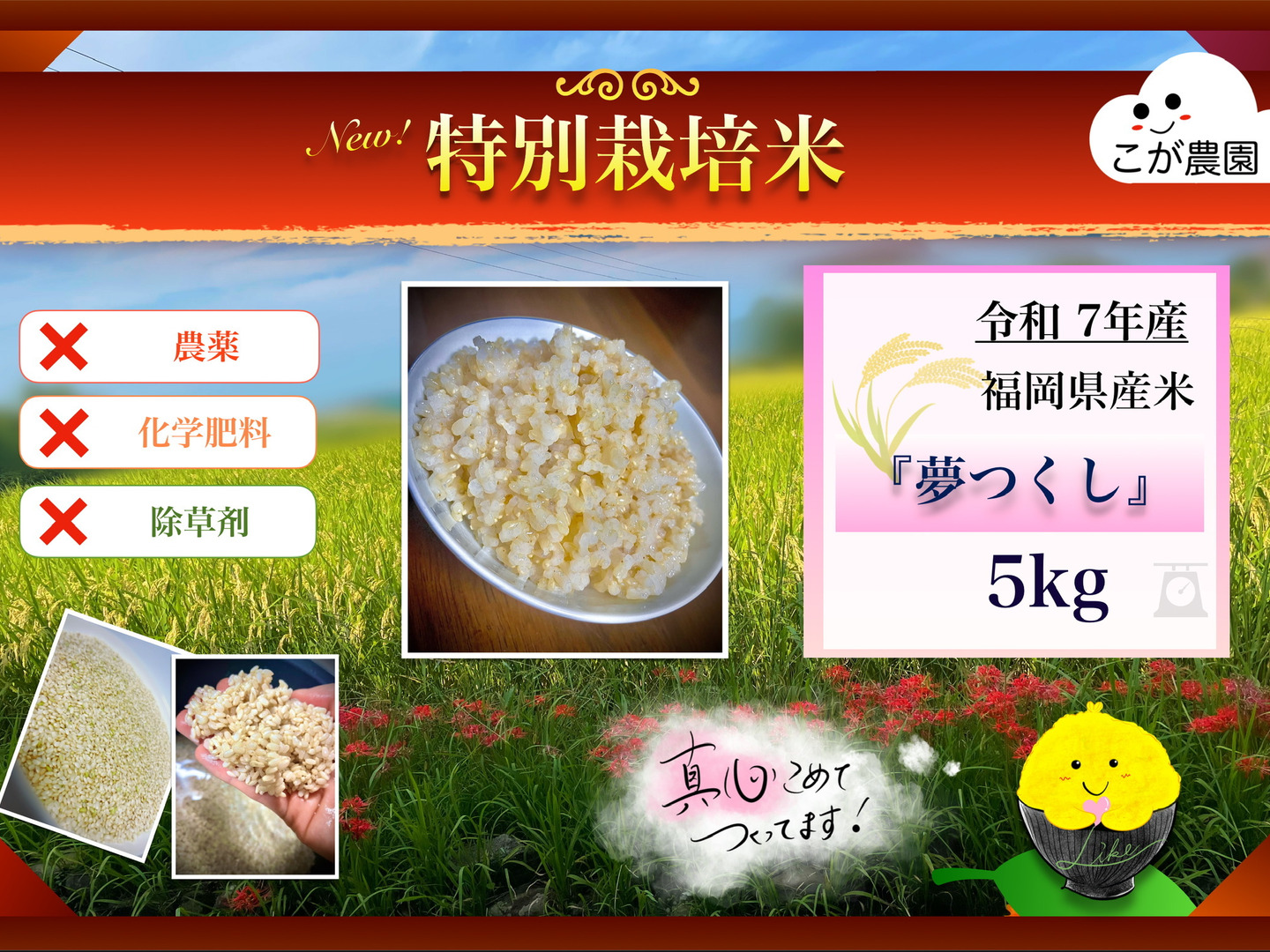 夢つくしお米20Kg Amazon.co.jp: 藤食糧 無洗米 福岡県産夢つくし 2kg(2kg×1袋