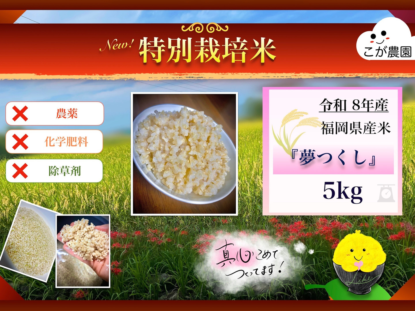 農薬・除草剤・化学肥料不使用 福岡県産「夢つくし」令和8年産 玄米5kg