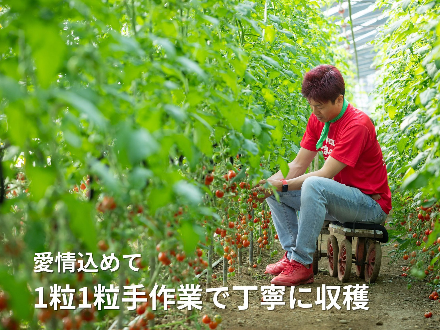 シーズン最後の大セール！！10％off×100g増量！！大人の間食に