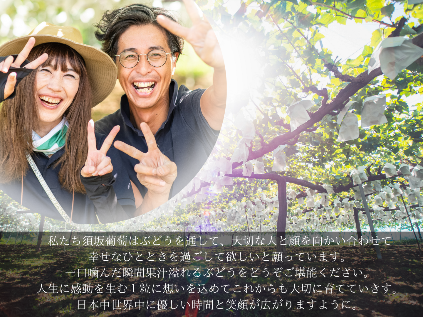 10/19発送　朝採り農家直送長野県産シャインマスカット5.1kg以上房数お任せ
