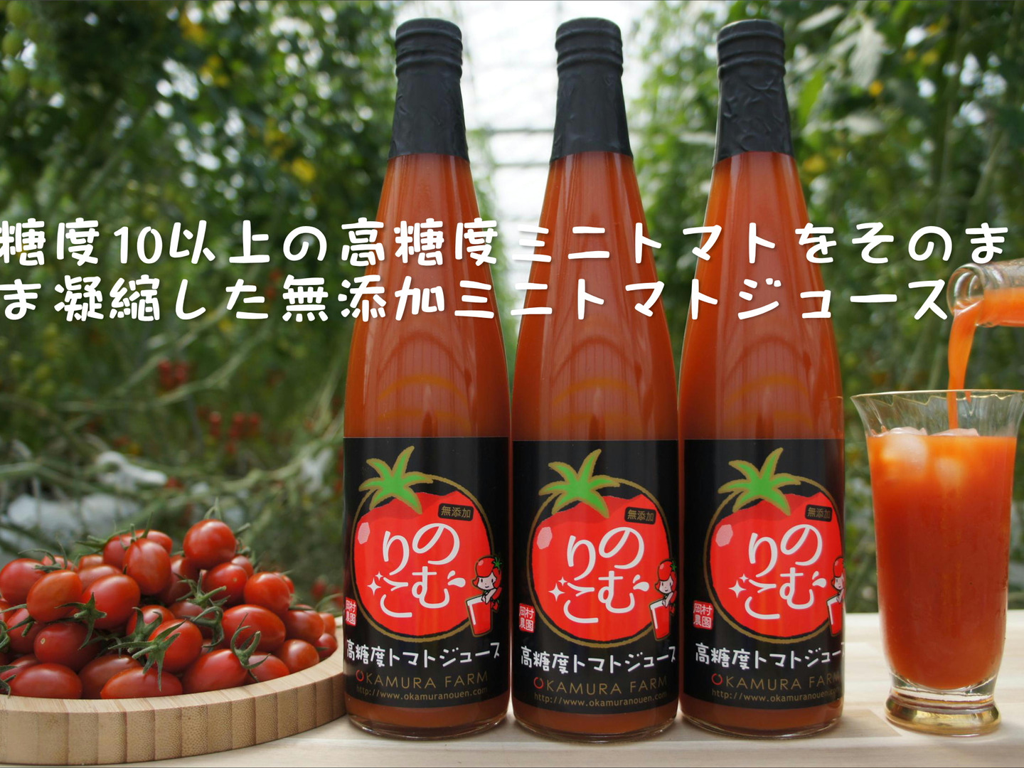 高糖度ミニトマトジュース「のむりこ」500ml 3本セット：三重県