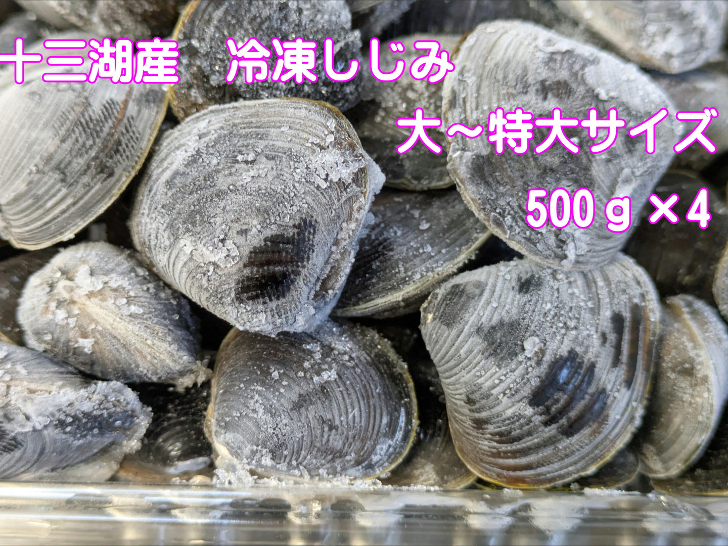 夏ギフト】冷凍品『十三湖しじみの特別な一品！』十三湖産大和しじみ