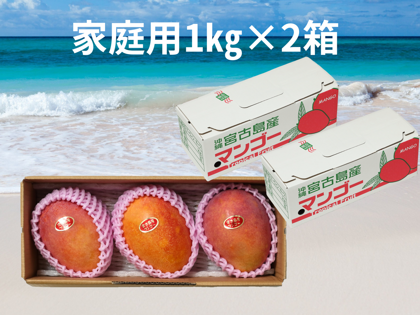 家庭用2箱買い】宮古島産完熟マンゴー1㎏(2～3玉)×2箱：沖縄県産の