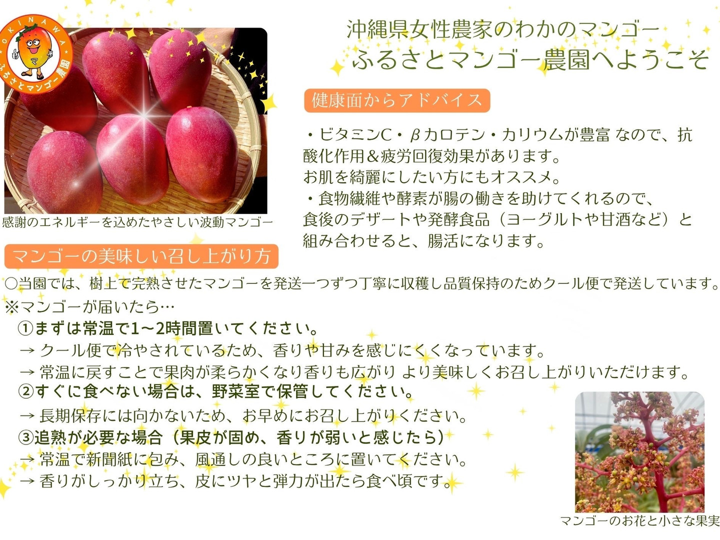 ご家族で大満足 数量限定】沖縄完熟マンゴー 2kg（4〜6玉）：沖縄県産
