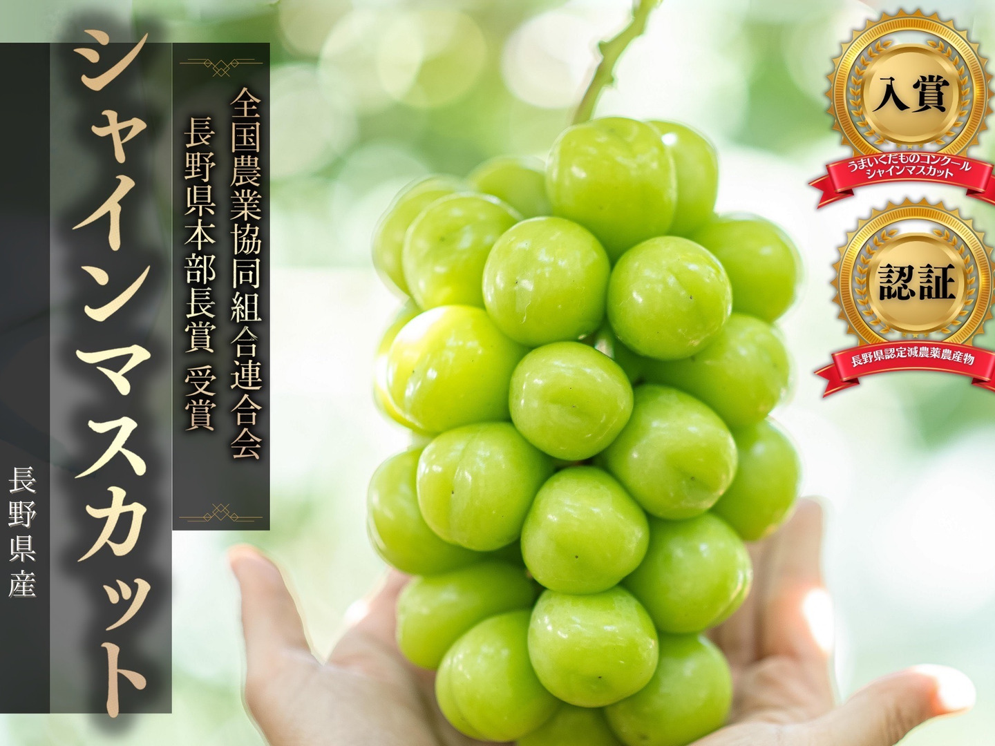 シャインマスカット+クイーンルージュセット 贈答用 秀 約2kg 各