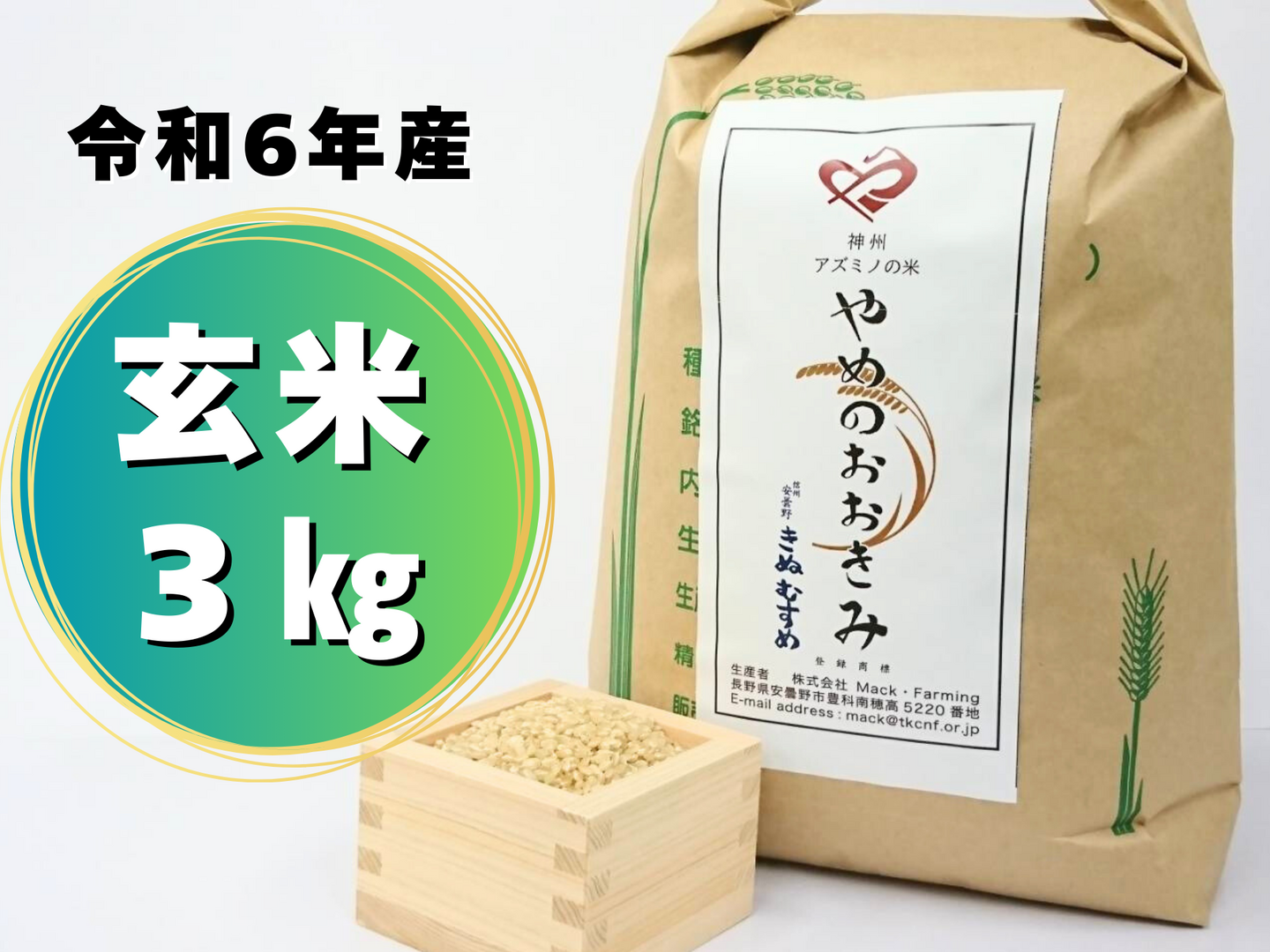 平日朝8時までの注文で当日出荷【期間限定20％オフ】令和6年