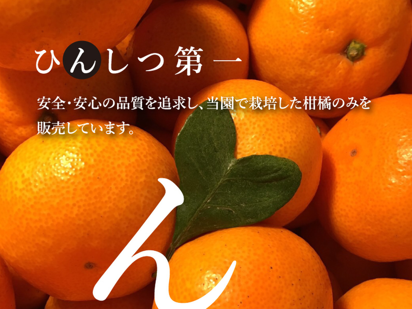 【初夏の味】ニューサマーオレンジ ５ｋｇ ※４月発送：愛媛県産のみかん・柑橘類｜食べチョク｜産地直送(産直)お取り寄せ通販 -  農家・漁師から旬の食材を直送