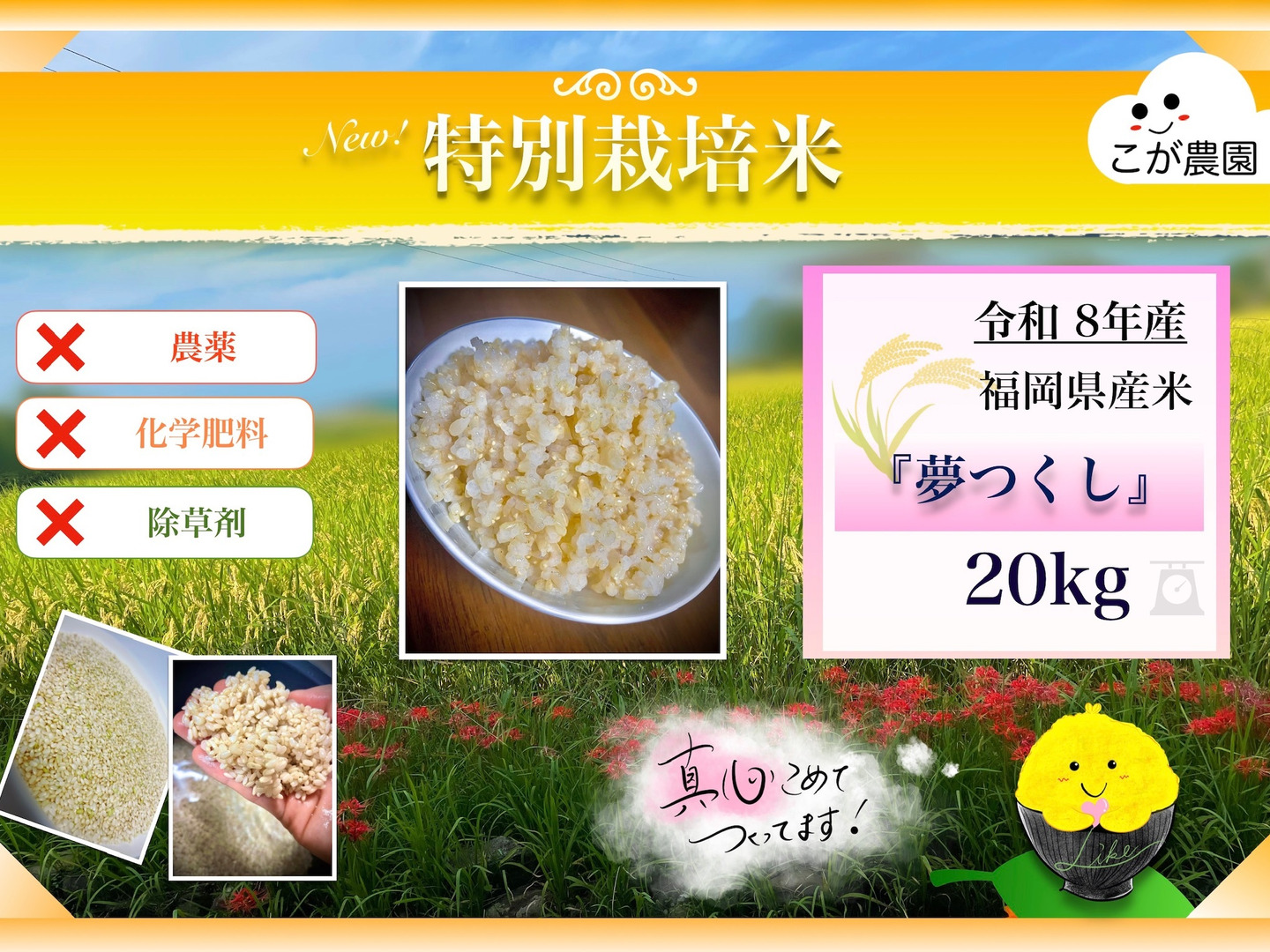 農薬・除草剤・化学肥料不使用 福岡県産「夢つくし」令和8年産 玄米