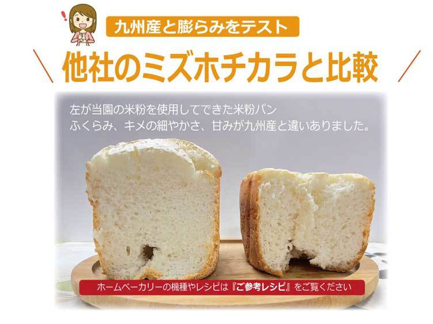 世界的に有名な 2640a09732f72a7c504ad40736e4b1 米・雑穀・粉類