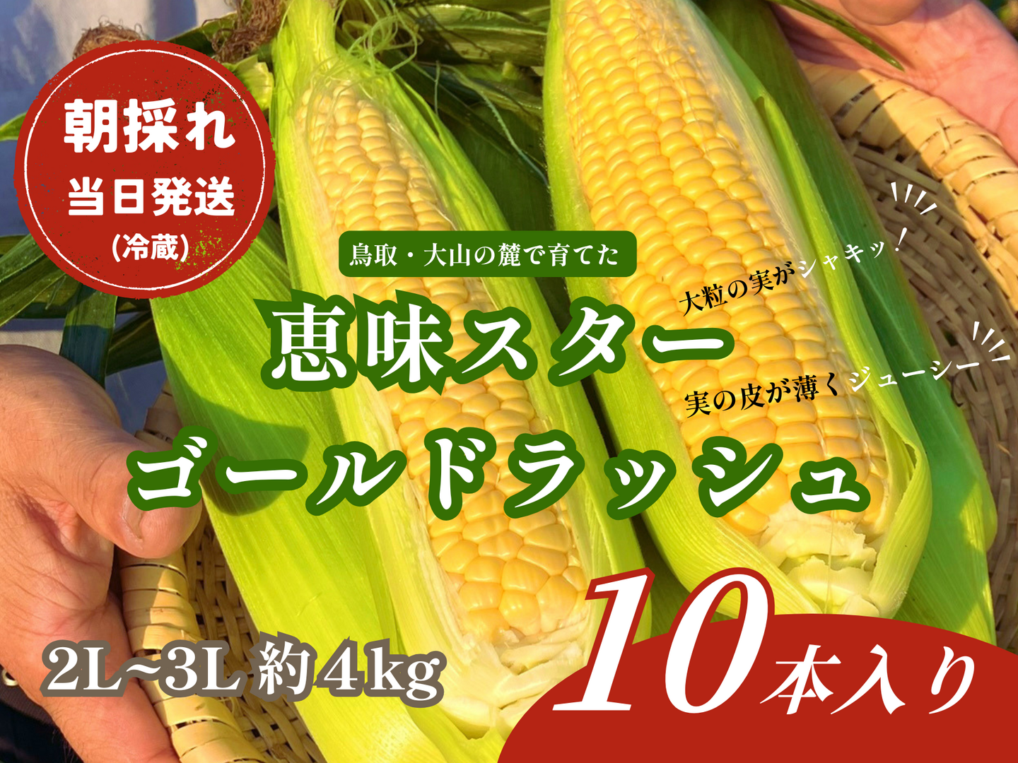 6/20~お届け】10本｜朝採れ当日冷蔵発送・数量限定｜朝採れスイート