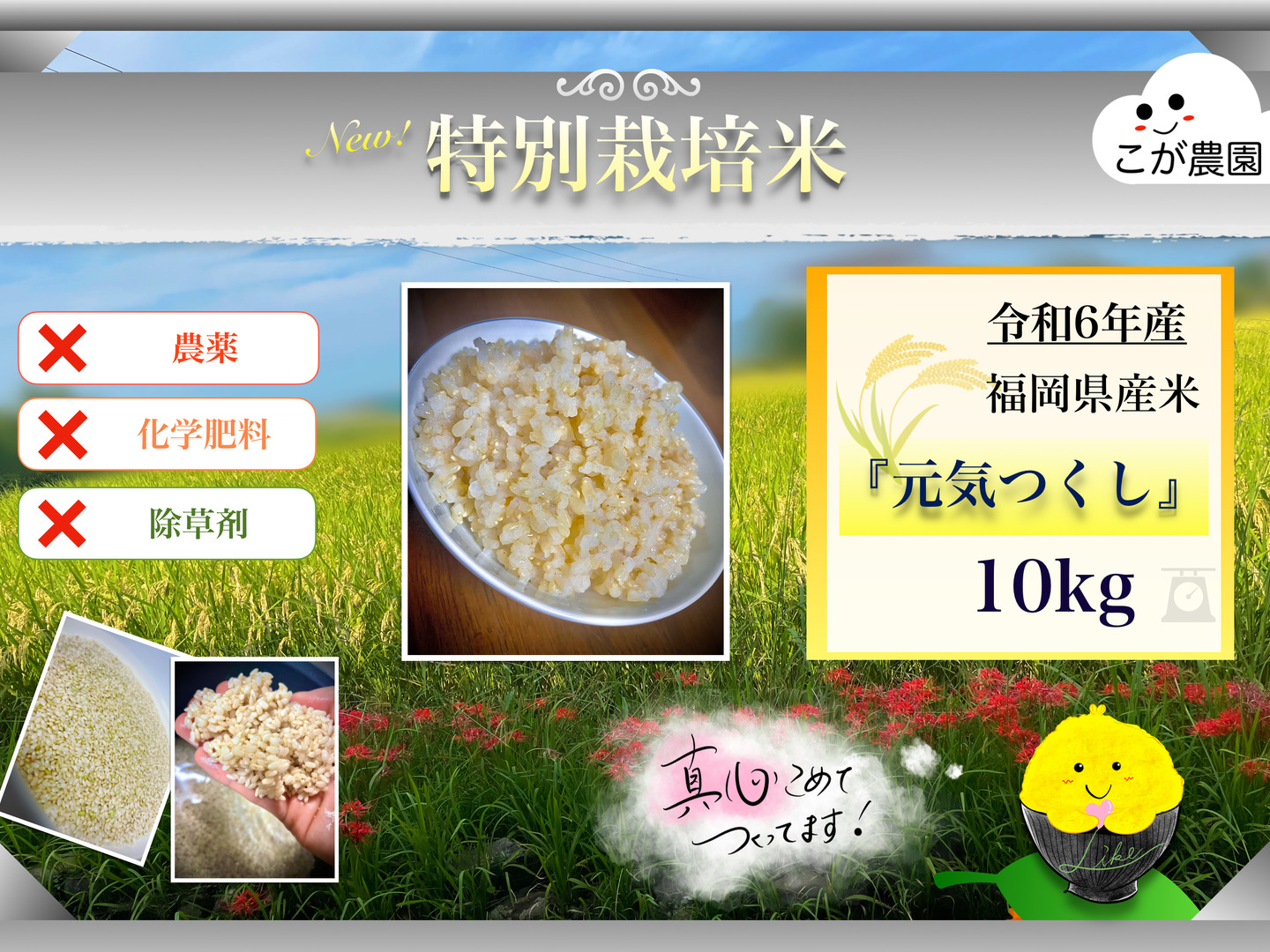 ちっちゃい物クラブ商品　準自然米　福岡県産「元気つくし」令和6年産 準自然米 大好評の福岡県産「元気つくし」令和6年産 玄米10kg