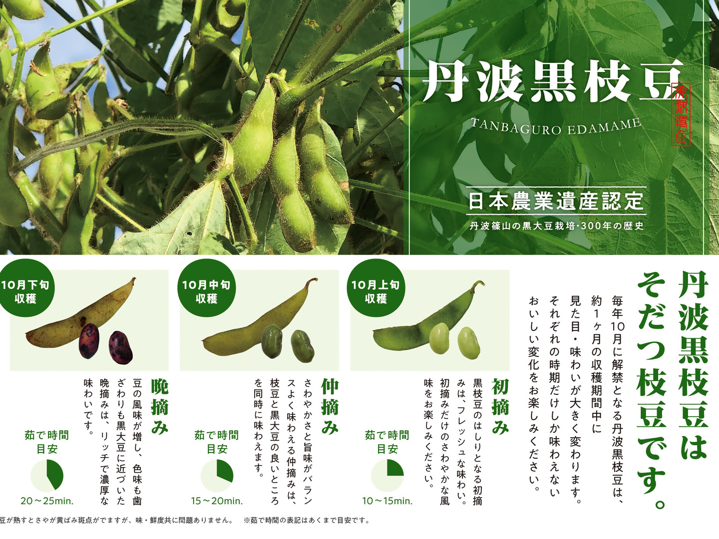 本場！本黒!!丹波篠山の黒枝豆【500g×4袋 2kg】：兵庫県産の