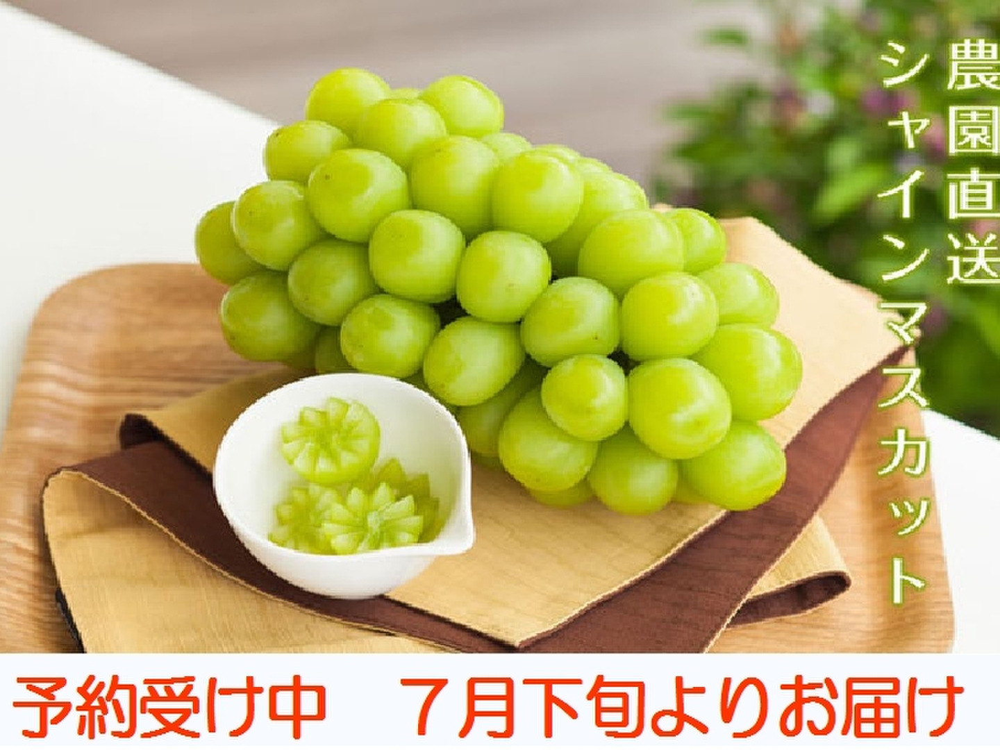6336676697_1
