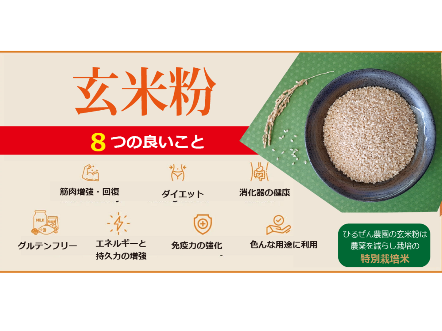 ミズホチカラ 2025年 新米の米粉 玄米粉 9000g (900g x 10袋