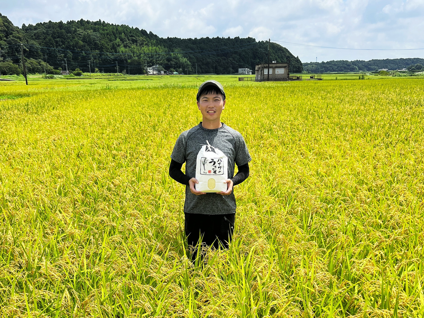 令和7年新米】8月上旬発送！お弁当や和食に合う「ふさおとめ