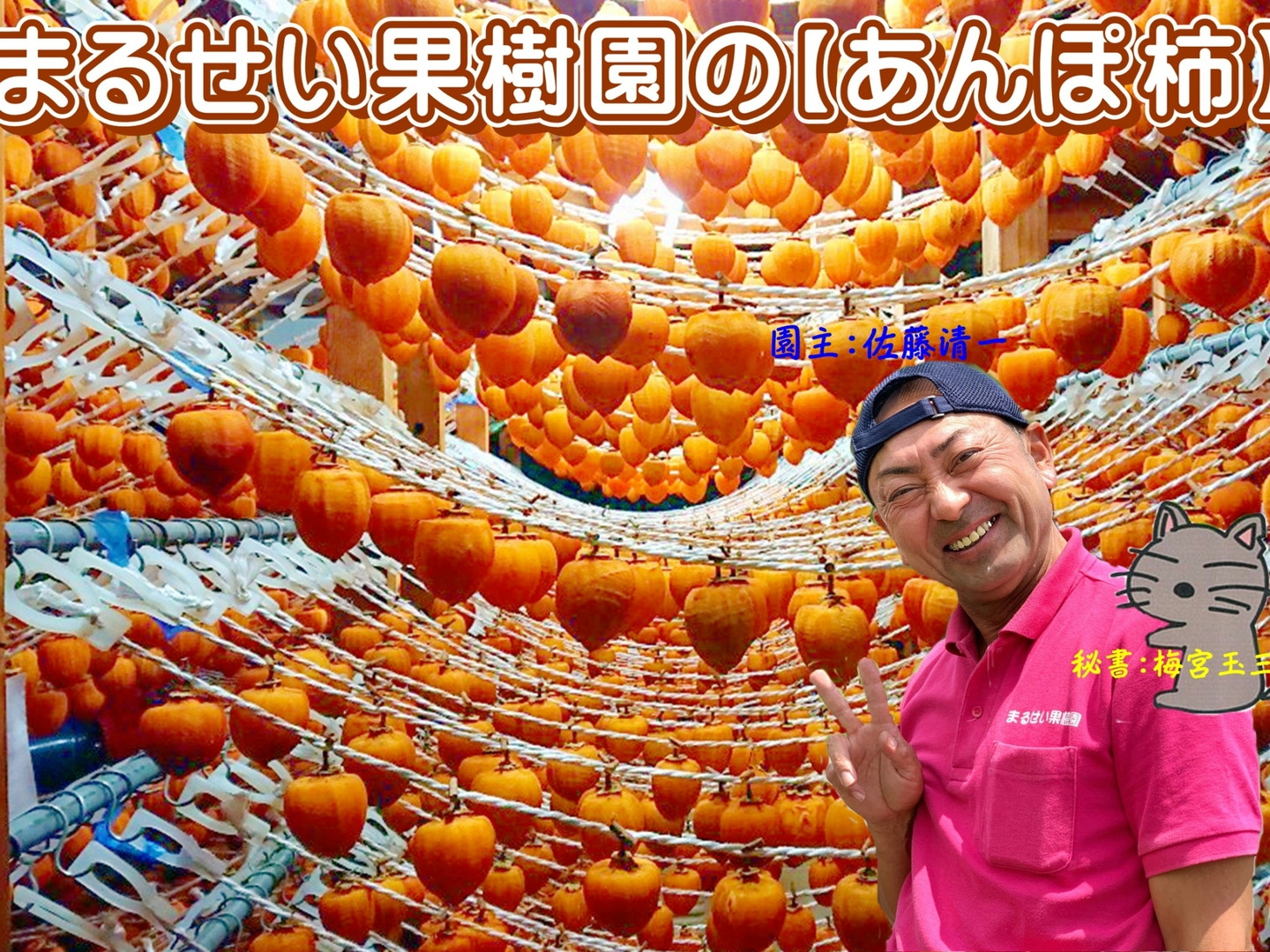 堀内果実園｜あんぽ柿ショコラ - 堀内果実園(ホリウチカジツエン