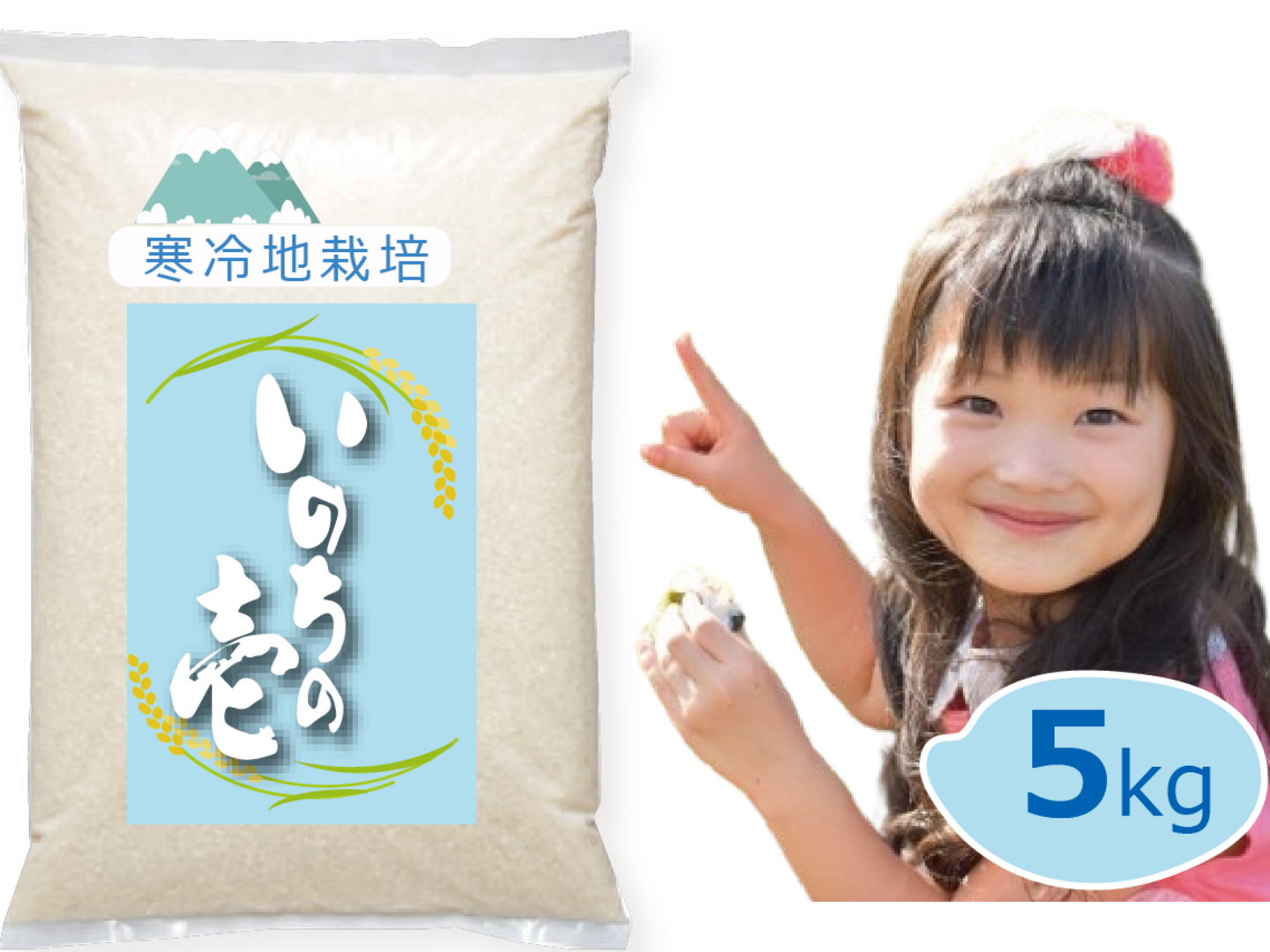 Amazon.co.jp: 【令和7年新米 10月発送】いのちの壱 玄米 5kg 3