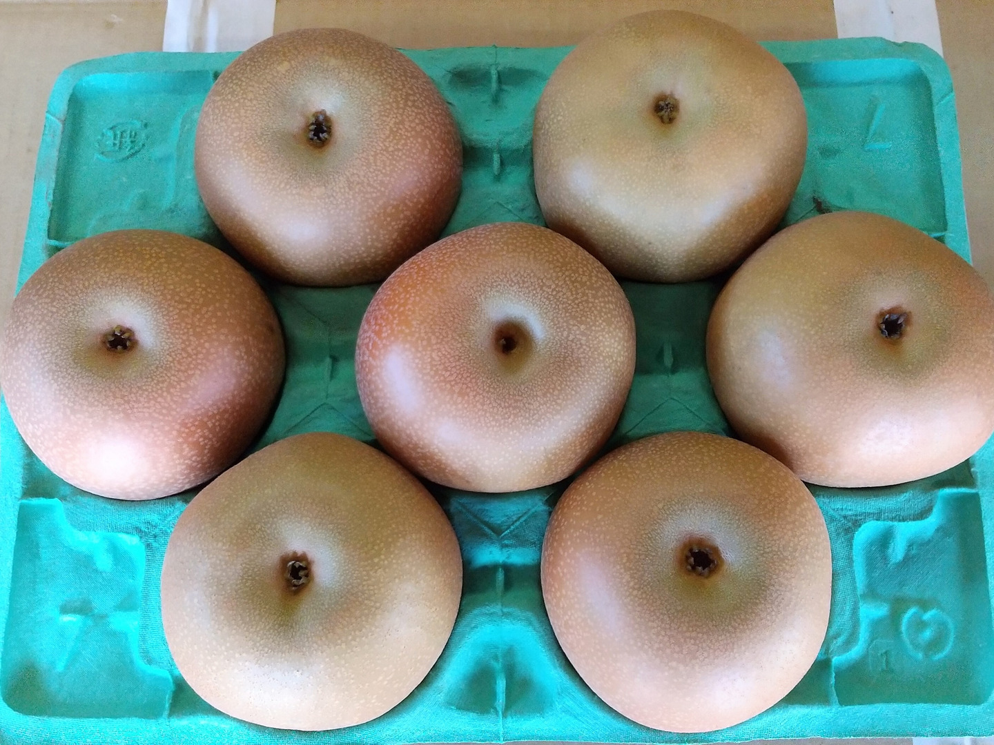 あきづき 3kg 5Lサイズ(7玉入り)：千葉県産のあきづき｜食べ