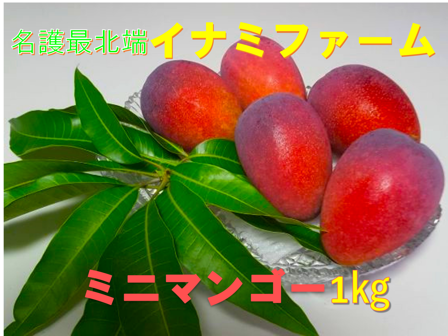 1 mammy☆沖縄県産マンゴー☆1.5kgクール代込み☆家庭用 36 沖縄県産ミニマンゴー☆1.5kgクール代込み☆家庭用 - メルカリ